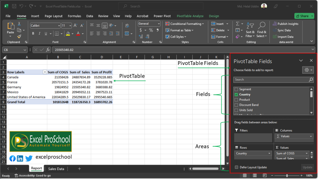Excel PivotTable Fields - Excel Pro School
